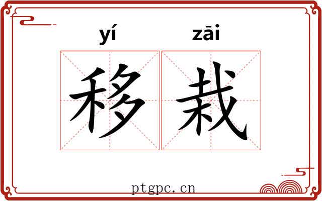 移栽