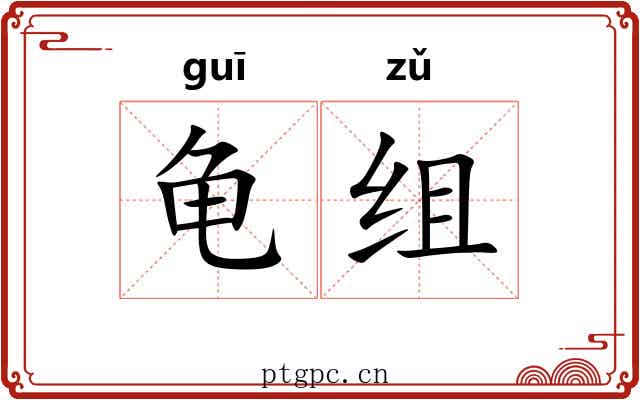 龟组 龟组
