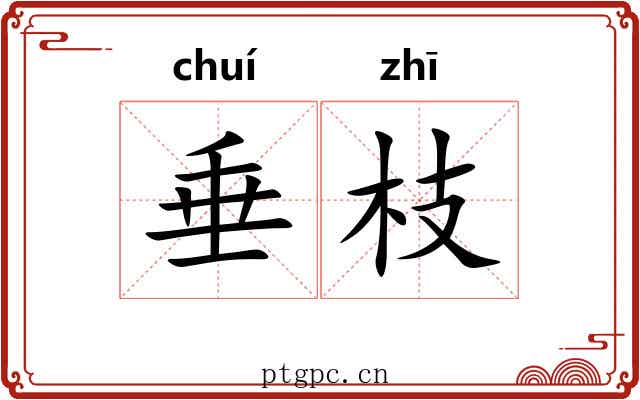 垂枝