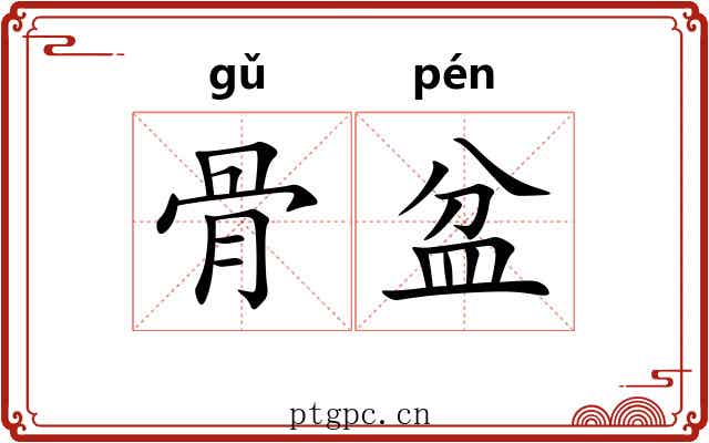 骨盆