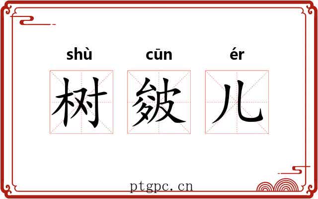 树皴儿 树皴儿