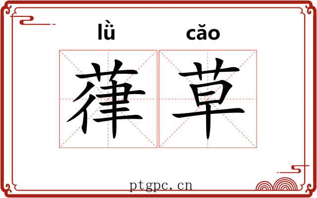 葎草 葎草