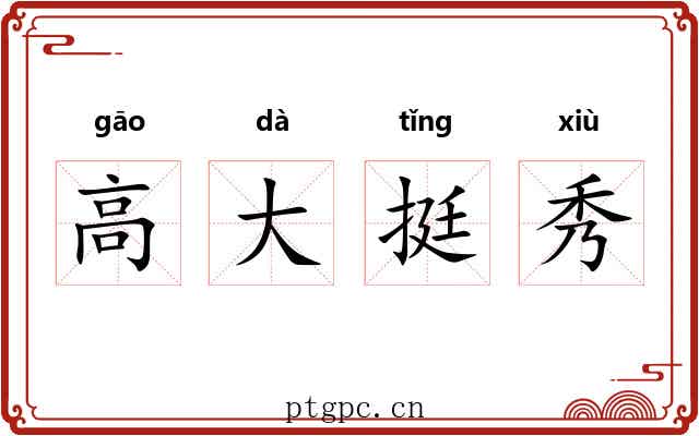 高大挺秀