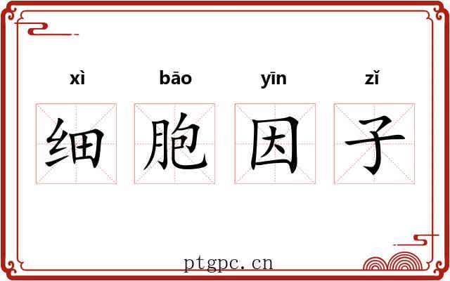 细胞因子 细胞因子