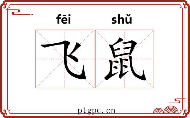 飞鼠