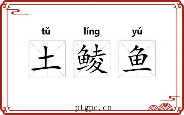 土鲮鱼