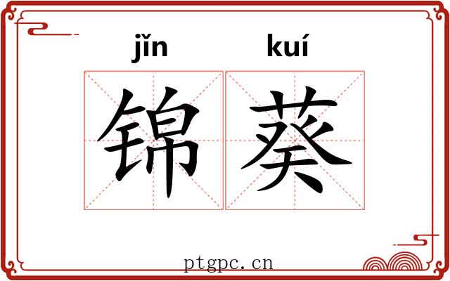 锦葵