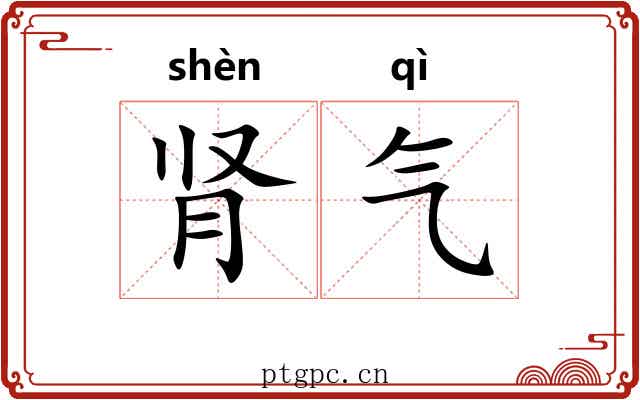 肾气 肾气