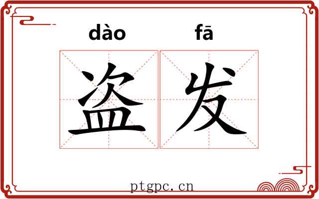 盗发 盗发