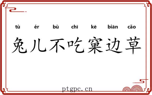 兔儿不吃窠边草 兔儿不吃窠边草