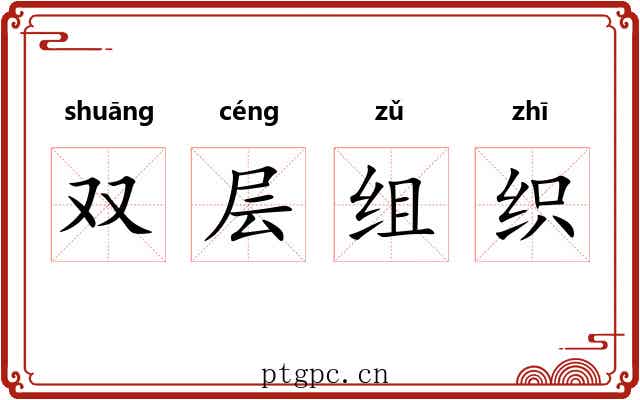 双层组织