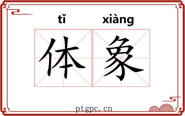 体象