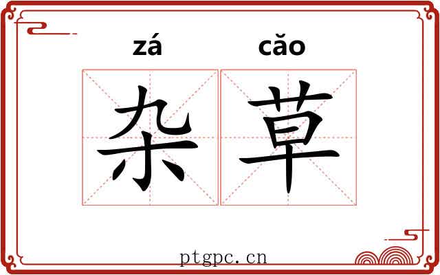 杂草