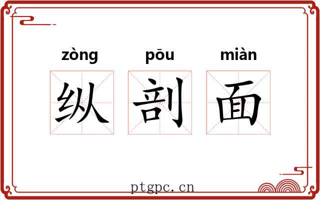 纵剖面