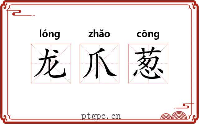 龙爪葱 龙爪葱