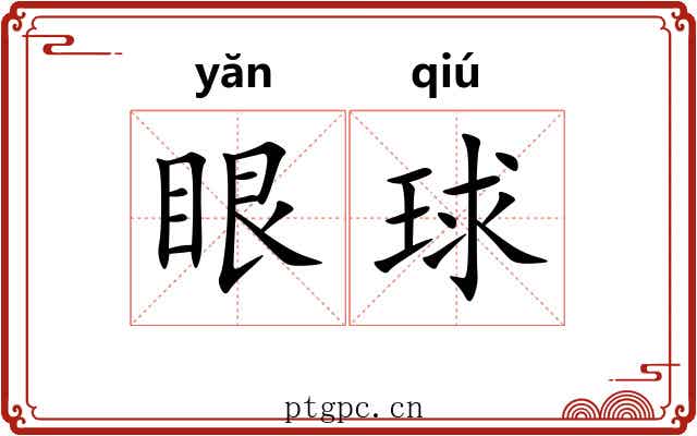 眼球 眼球