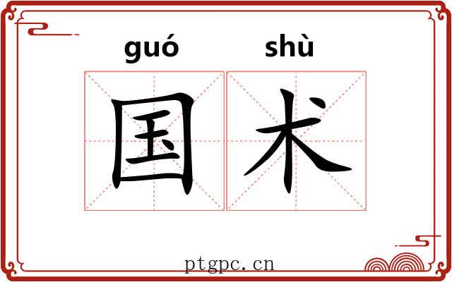 国术 国术