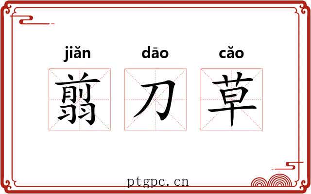 翦刀草