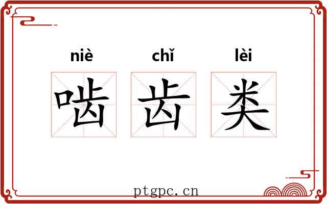 啮齿类