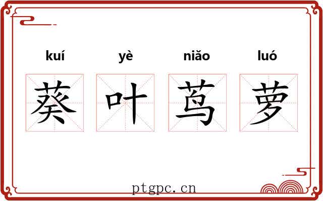 葵叶茑萝
