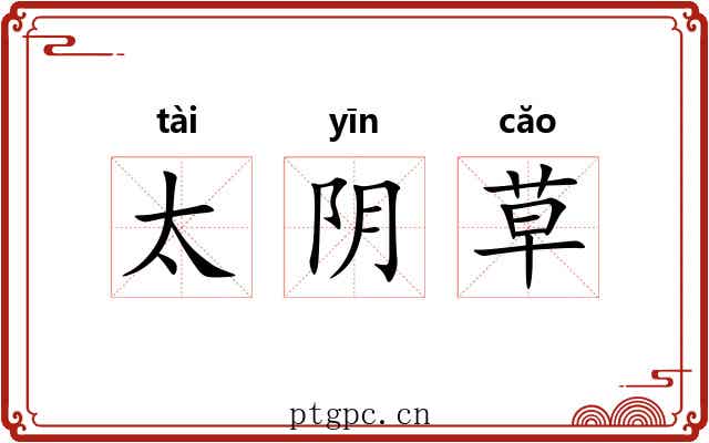 太阴草 太阴草