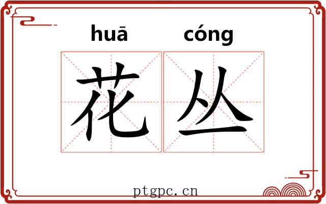 花丛 花丛
