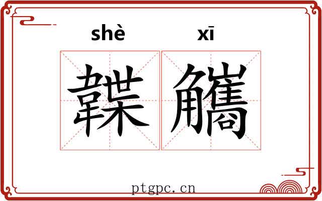 韘觿