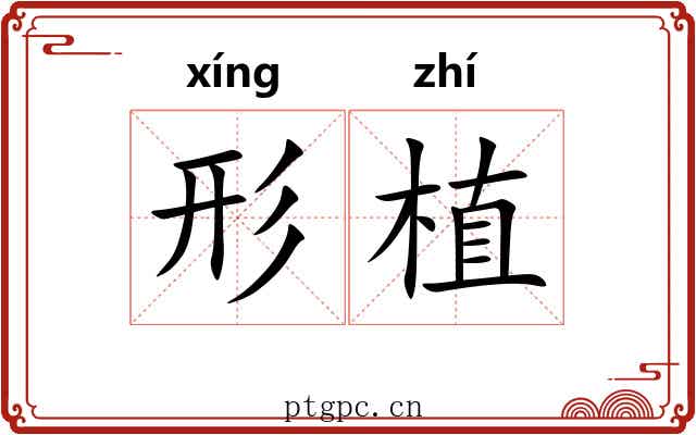 形植