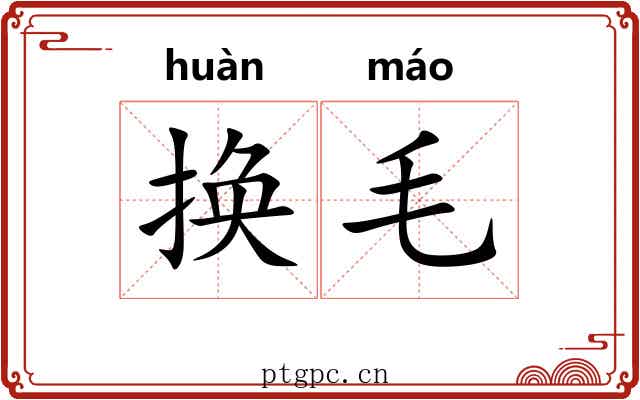 换毛 换毛