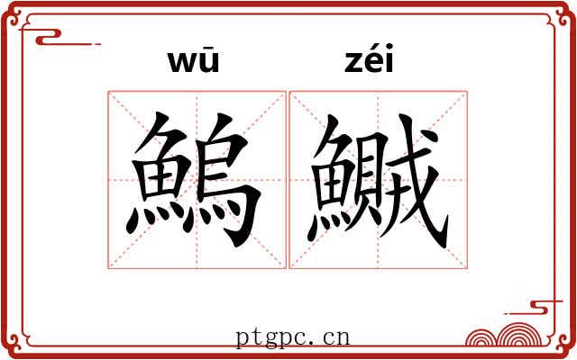 鰞鱡