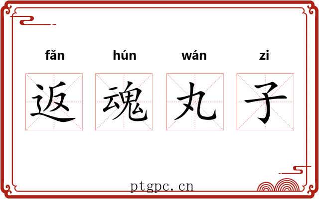 返魂丸子 返魂丸子