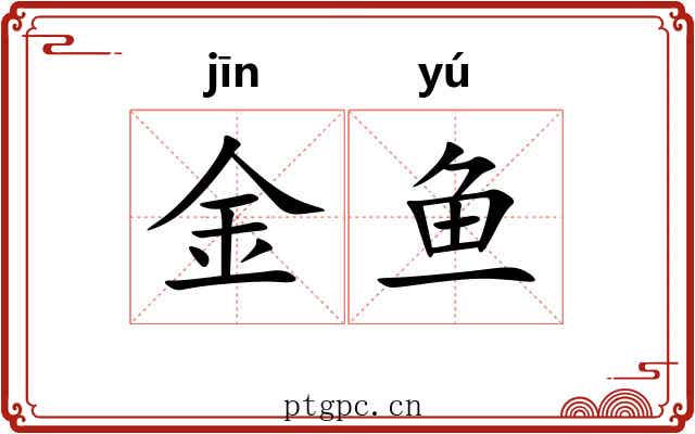 金鱼