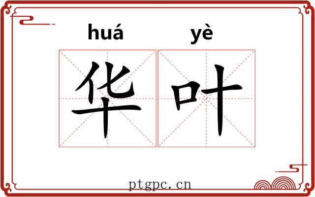 华叶