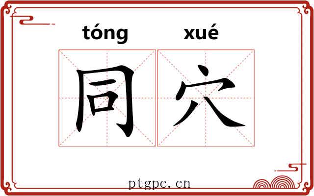 同穴 同穴