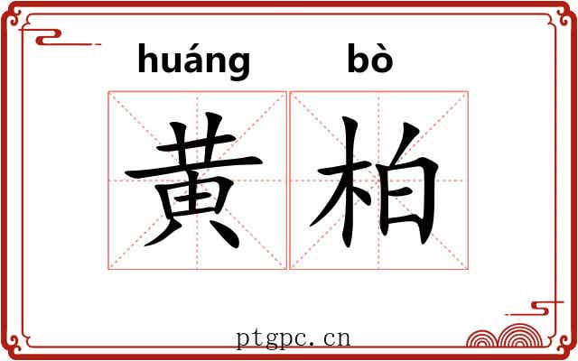 黄柏