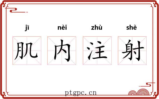 肌内注射