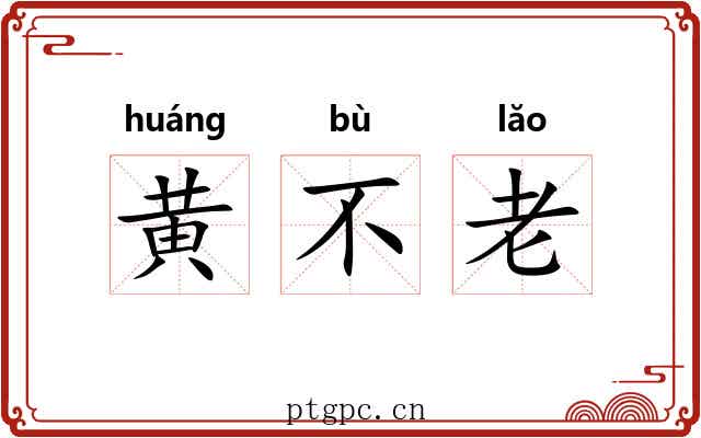 黄不老 黄不老