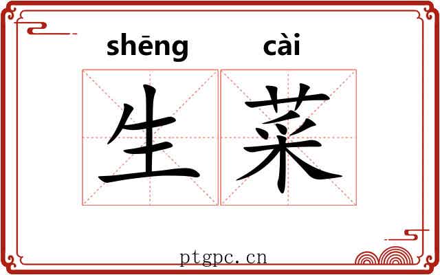 生菜 生菜