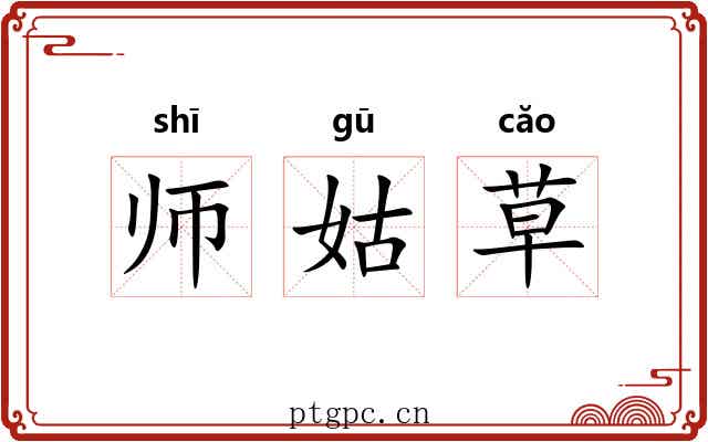 师姑草