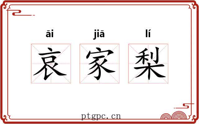 哀家梨