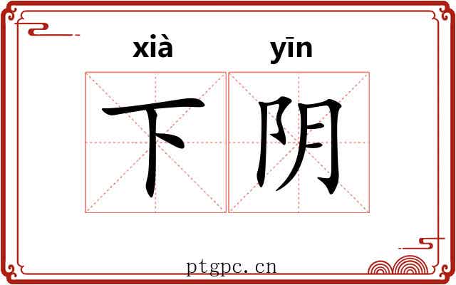 下阴