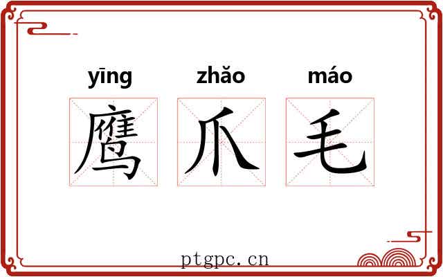 鹰爪毛