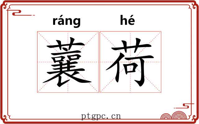 蘘荷