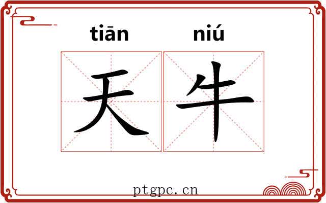 天牛