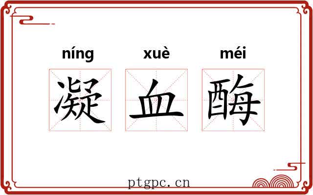 凝血酶 凝血酶