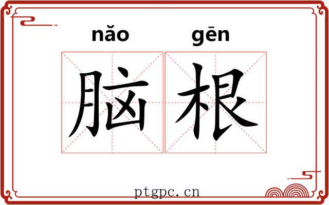 脑根