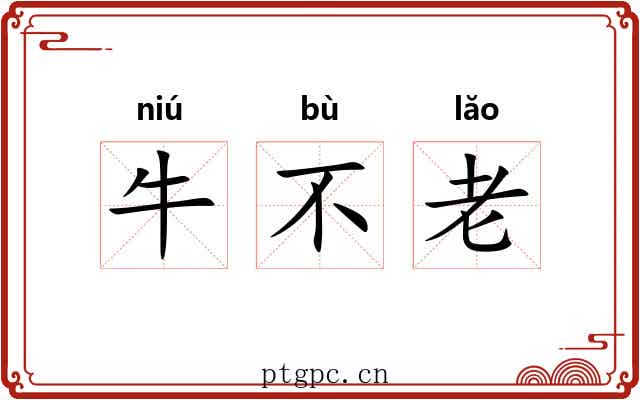 牛不老