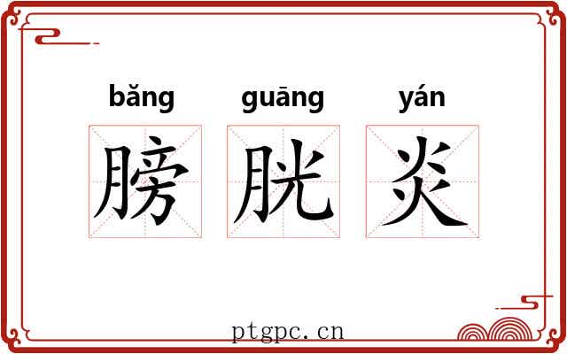 膀胱炎 膀胱炎