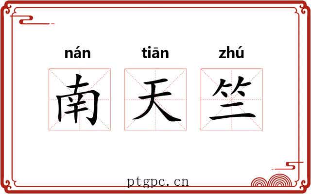 南天竺 南天竺