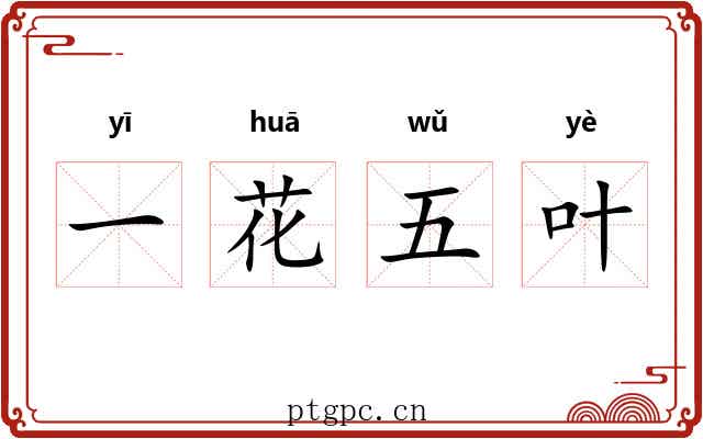 一花五叶 一花五叶